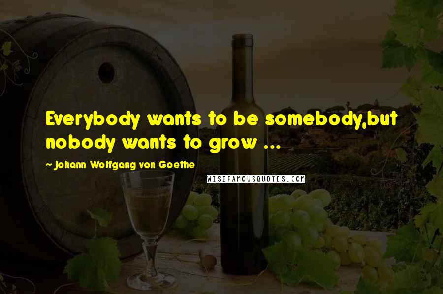 Johann Wolfgang Von Goethe Quotes: Everybody wants to be somebody,but nobody wants to grow ...