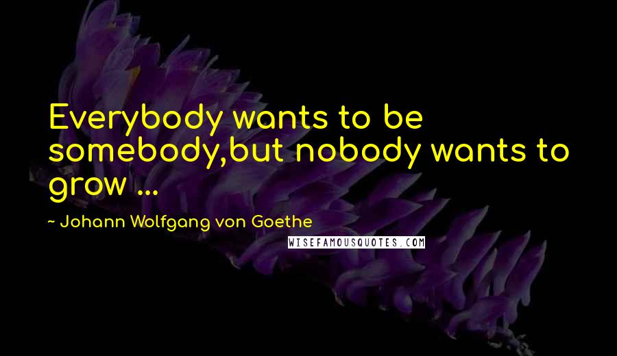 Johann Wolfgang Von Goethe Quotes: Everybody wants to be somebody,but nobody wants to grow ...