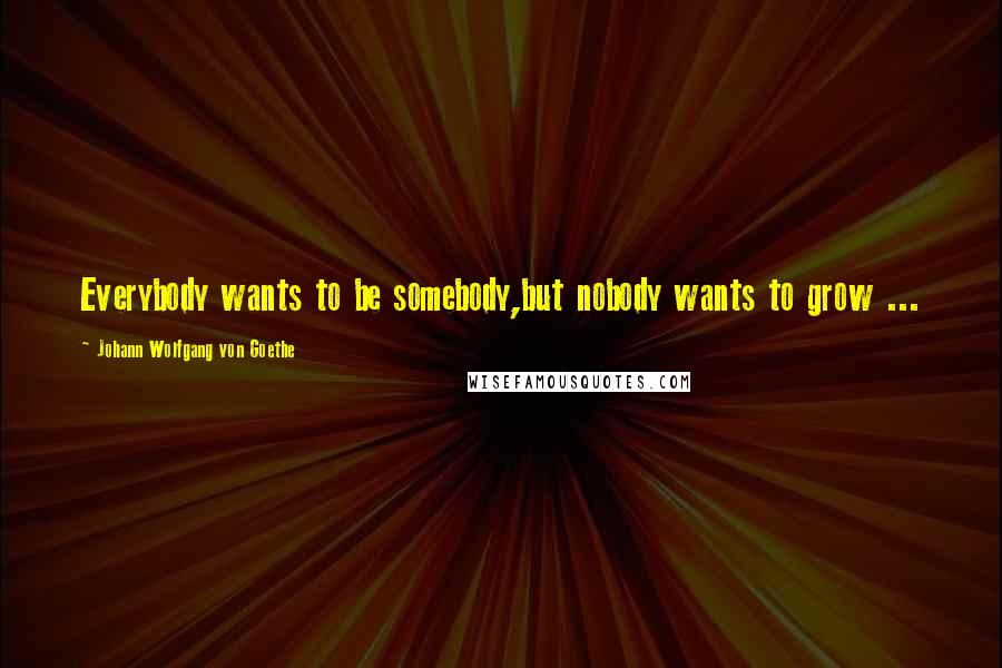 Johann Wolfgang Von Goethe Quotes: Everybody wants to be somebody,but nobody wants to grow ...