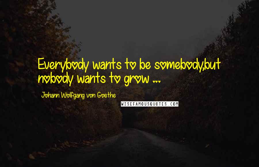 Johann Wolfgang Von Goethe Quotes: Everybody wants to be somebody,but nobody wants to grow ...