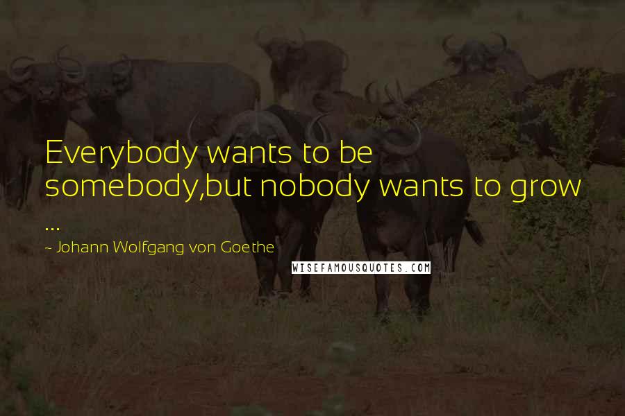 Johann Wolfgang Von Goethe Quotes: Everybody wants to be somebody,but nobody wants to grow ...