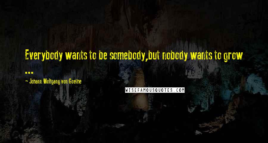 Johann Wolfgang Von Goethe Quotes: Everybody wants to be somebody,but nobody wants to grow ...