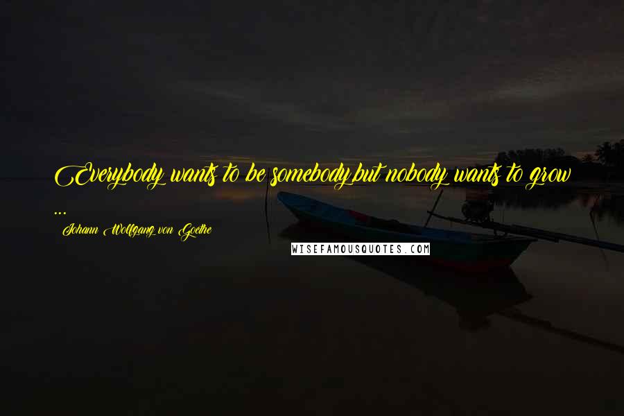 Johann Wolfgang Von Goethe Quotes: Everybody wants to be somebody,but nobody wants to grow ...