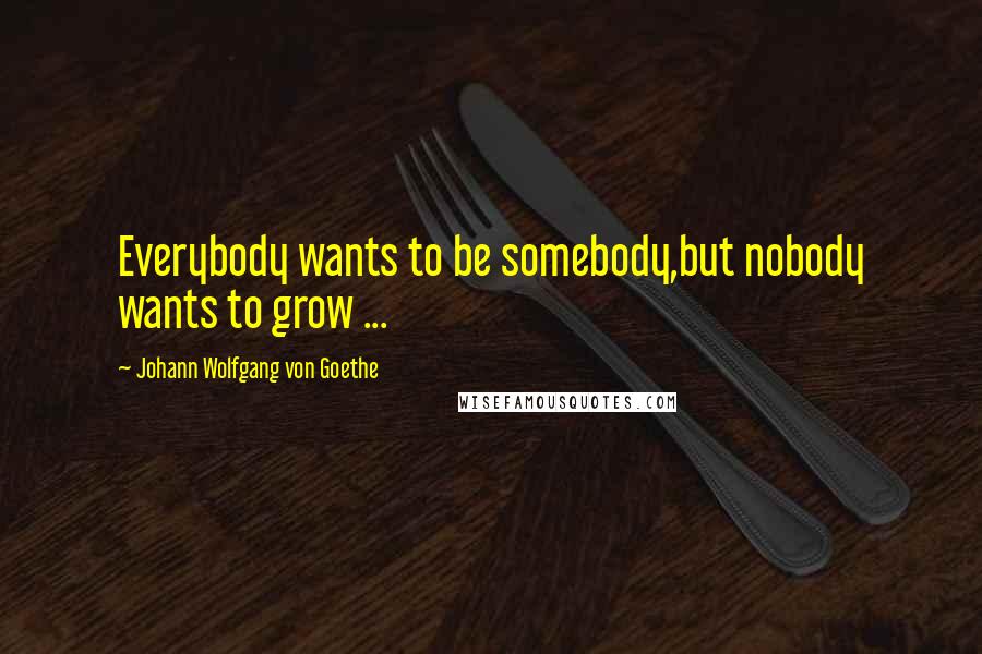 Johann Wolfgang Von Goethe Quotes: Everybody wants to be somebody,but nobody wants to grow ...