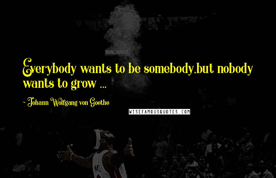 Johann Wolfgang Von Goethe Quotes: Everybody wants to be somebody,but nobody wants to grow ...