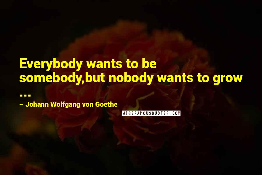 Johann Wolfgang Von Goethe Quotes: Everybody wants to be somebody,but nobody wants to grow ...