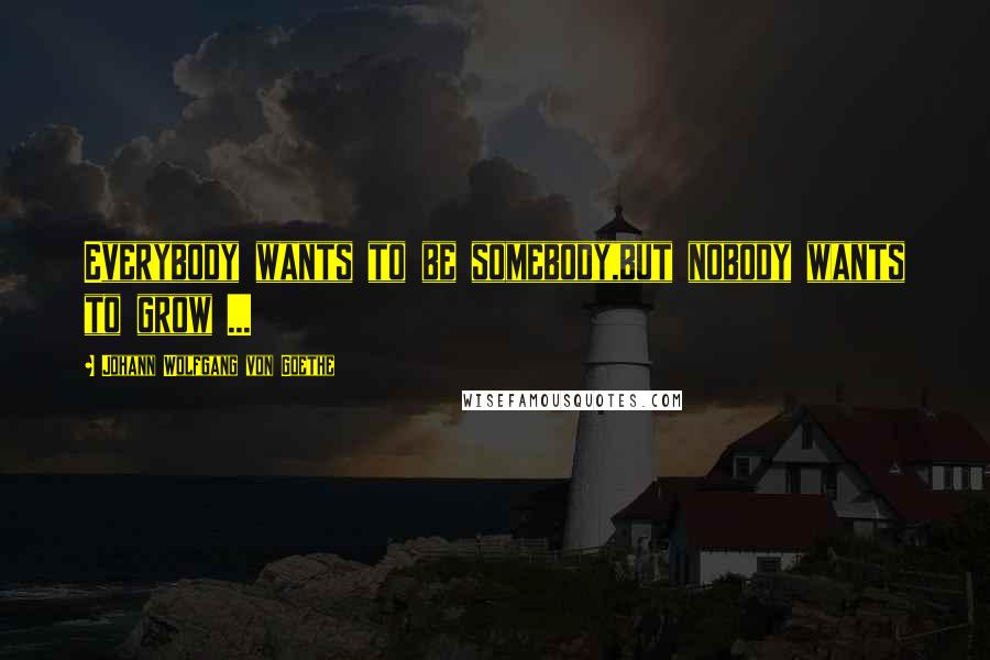 Johann Wolfgang Von Goethe Quotes: Everybody wants to be somebody,but nobody wants to grow ...