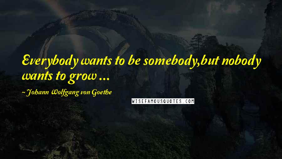 Johann Wolfgang Von Goethe Quotes: Everybody wants to be somebody,but nobody wants to grow ...