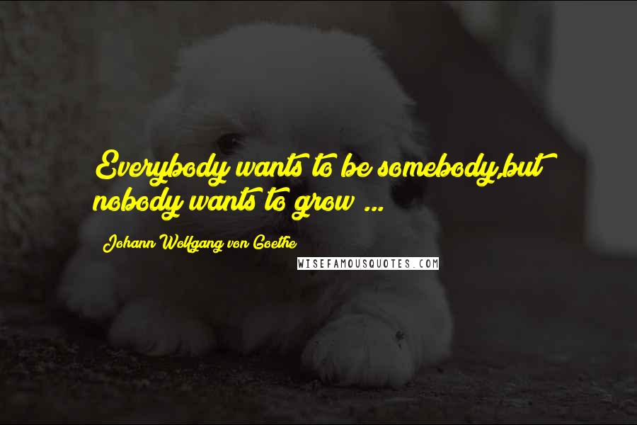 Johann Wolfgang Von Goethe Quotes: Everybody wants to be somebody,but nobody wants to grow ...