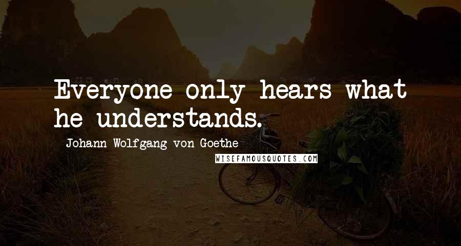 Johann Wolfgang Von Goethe Quotes: Everyone only hears what he understands.