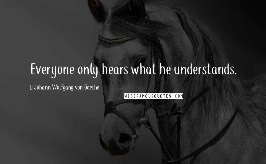Johann Wolfgang Von Goethe Quotes: Everyone only hears what he understands.