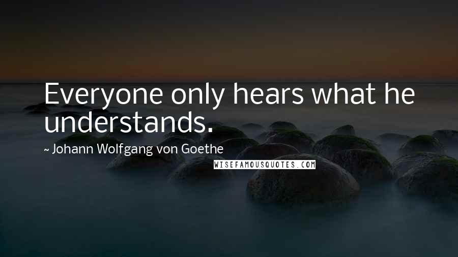 Johann Wolfgang Von Goethe Quotes: Everyone only hears what he understands.