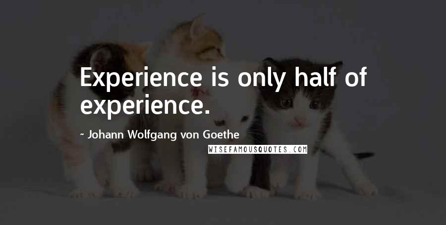 Johann Wolfgang Von Goethe Quotes: Experience is only half of experience.