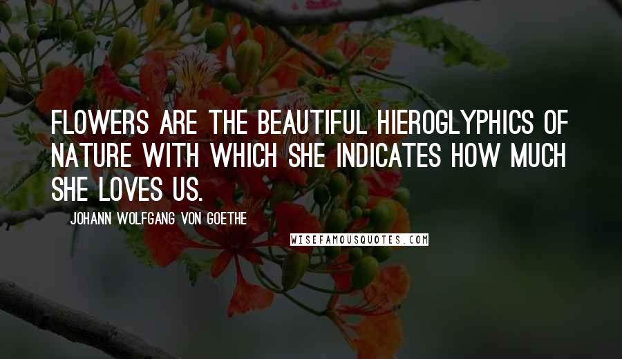 Johann Wolfgang Von Goethe Quotes: Flowers are the beautiful hieroglyphics of nature with which she indicates how much she loves us.