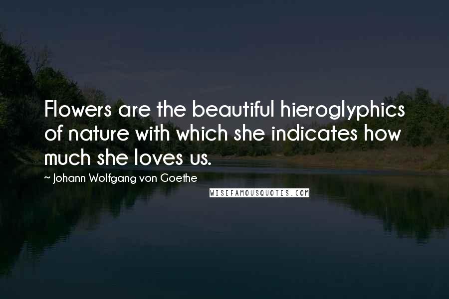 Johann Wolfgang Von Goethe Quotes: Flowers are the beautiful hieroglyphics of nature with which she indicates how much she loves us.
