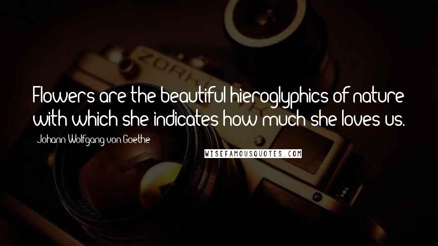 Johann Wolfgang Von Goethe Quotes: Flowers are the beautiful hieroglyphics of nature with which she indicates how much she loves us.