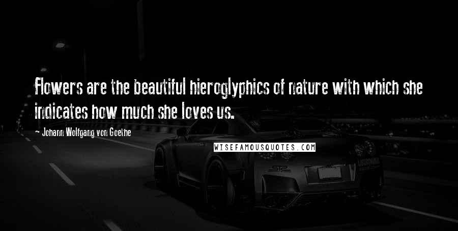 Johann Wolfgang Von Goethe Quotes: Flowers are the beautiful hieroglyphics of nature with which she indicates how much she loves us.
