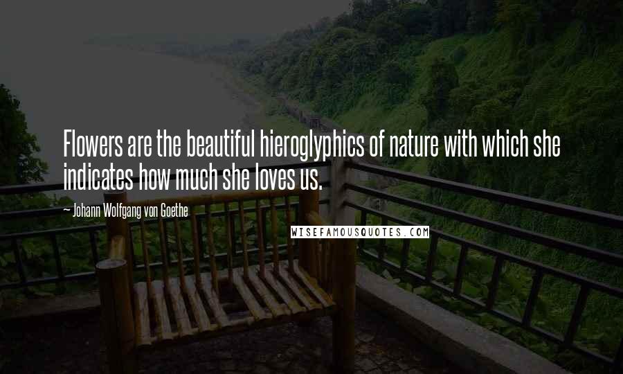 Johann Wolfgang Von Goethe Quotes: Flowers are the beautiful hieroglyphics of nature with which she indicates how much she loves us.