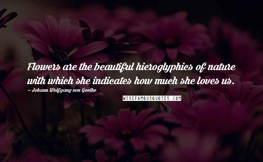 Johann Wolfgang Von Goethe Quotes: Flowers are the beautiful hieroglyphics of nature with which she indicates how much she loves us.