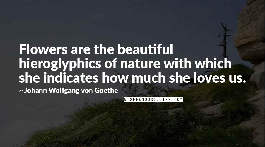 Johann Wolfgang Von Goethe Quotes: Flowers are the beautiful hieroglyphics of nature with which she indicates how much she loves us.