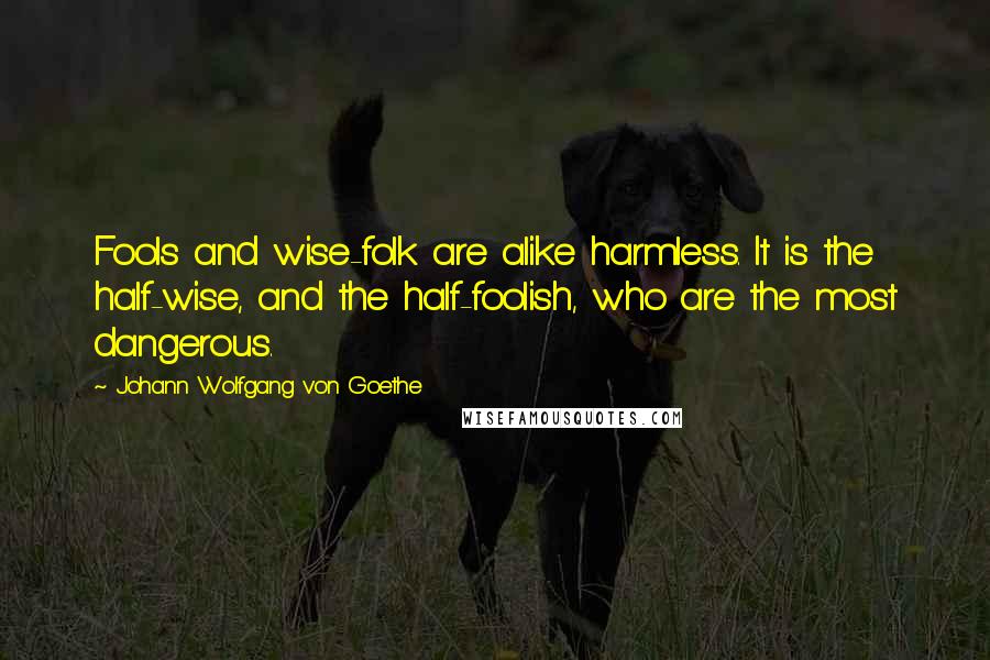 Johann Wolfgang Von Goethe Quotes: Fools and wise-folk are alike harmless. It is the half-wise, and the half-foolish, who are the most dangerous.