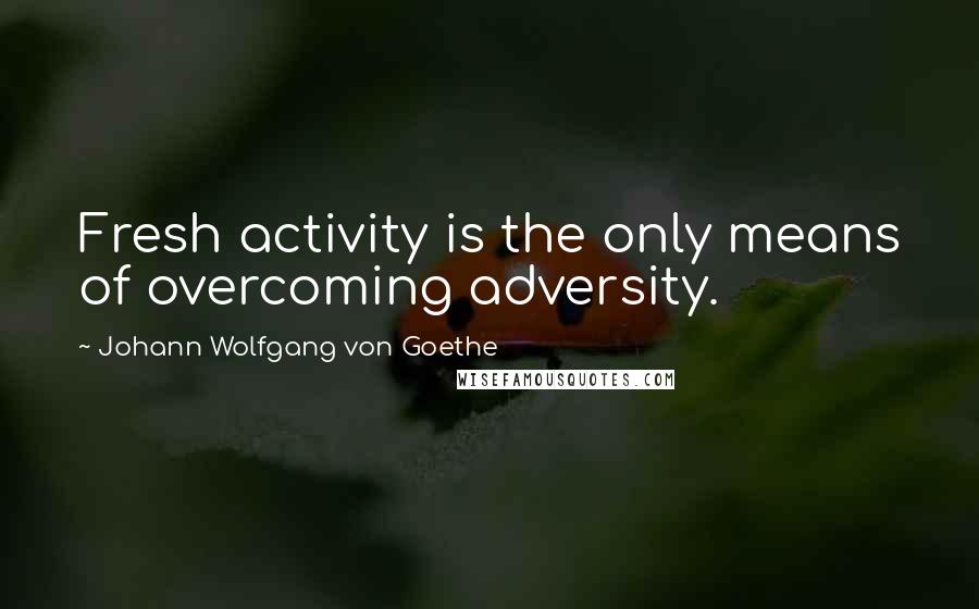 Johann Wolfgang Von Goethe Quotes: Fresh activity is the only means of overcoming adversity.