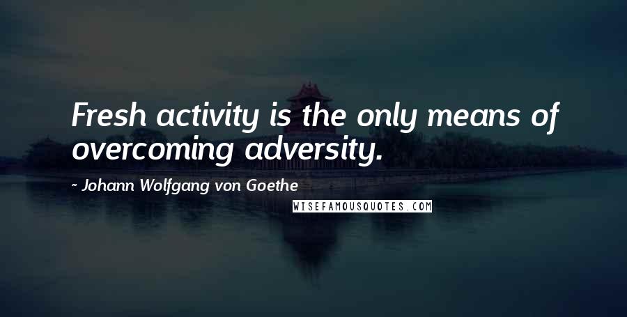 Johann Wolfgang Von Goethe Quotes: Fresh activity is the only means of overcoming adversity.