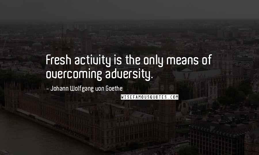 Johann Wolfgang Von Goethe Quotes: Fresh activity is the only means of overcoming adversity.