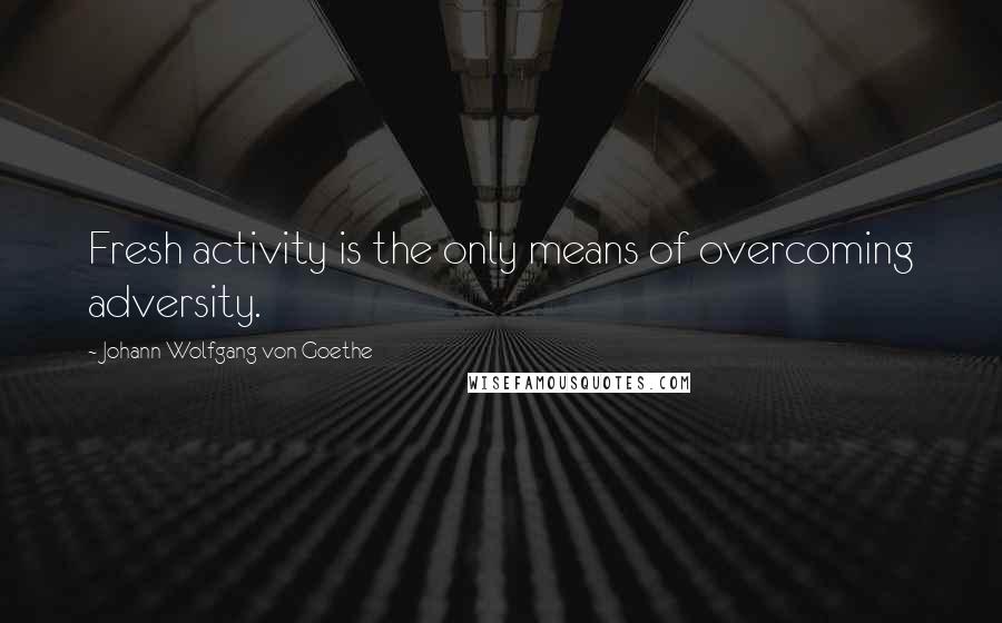 Johann Wolfgang Von Goethe Quotes: Fresh activity is the only means of overcoming adversity.