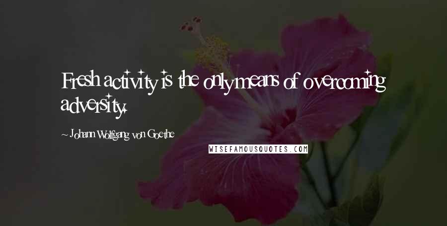 Johann Wolfgang Von Goethe Quotes: Fresh activity is the only means of overcoming adversity.