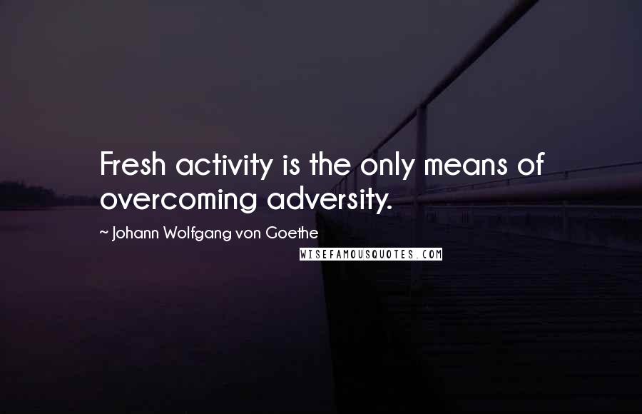 Johann Wolfgang Von Goethe Quotes: Fresh activity is the only means of overcoming adversity.