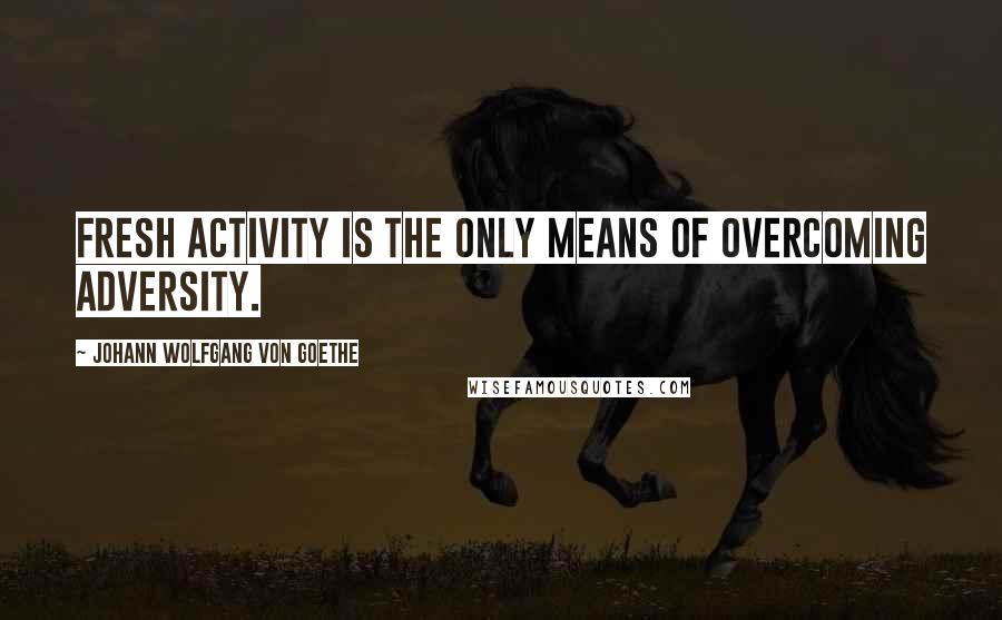 Johann Wolfgang Von Goethe Quotes: Fresh activity is the only means of overcoming adversity.