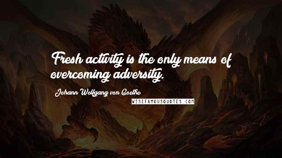 Johann Wolfgang Von Goethe Quotes: Fresh activity is the only means of overcoming adversity.