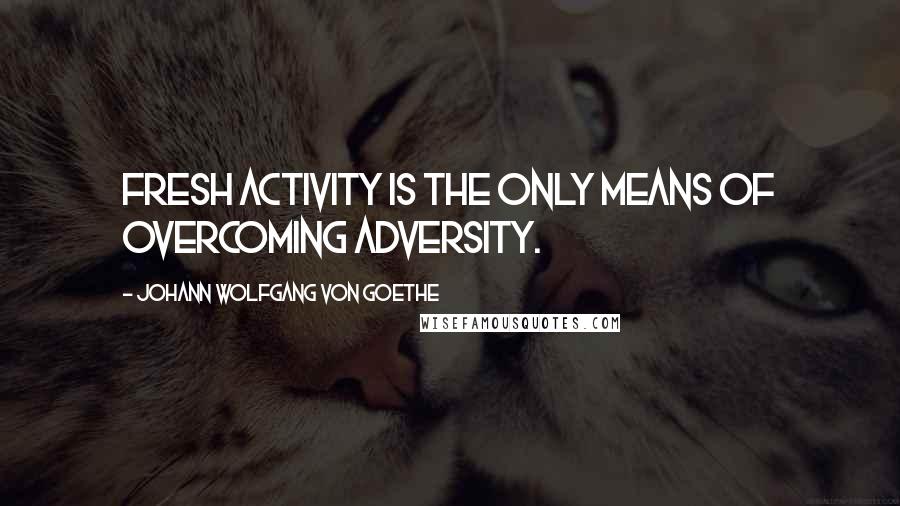 Johann Wolfgang Von Goethe Quotes: Fresh activity is the only means of overcoming adversity.