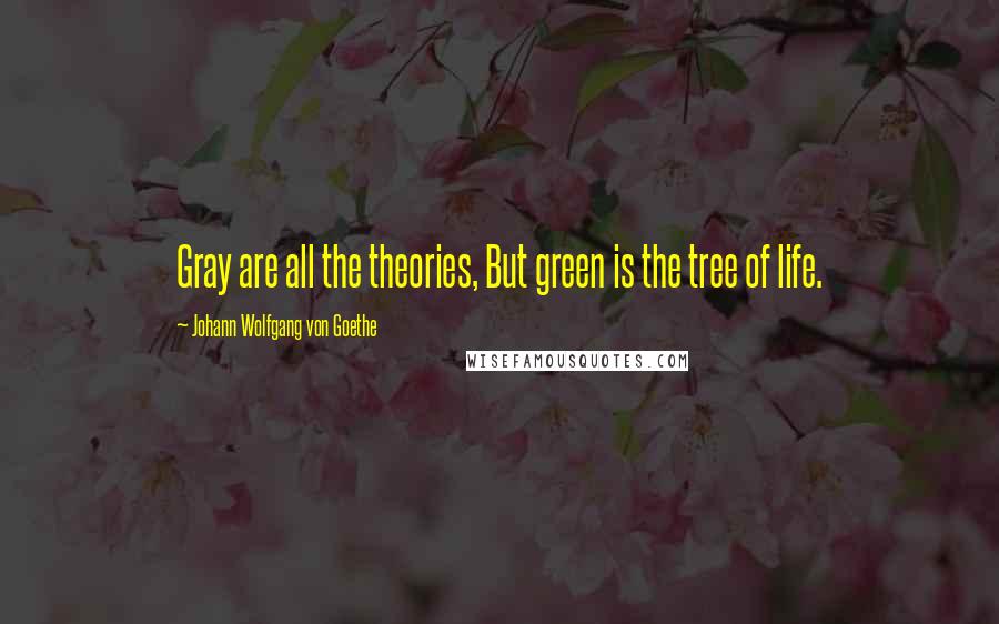 Johann Wolfgang Von Goethe Quotes: Gray are all the theories, But green is the tree of life.