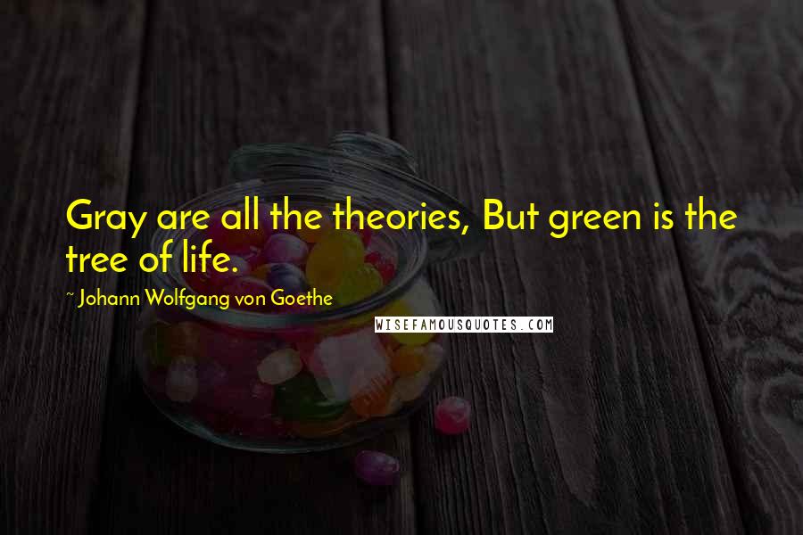 Johann Wolfgang Von Goethe Quotes: Gray are all the theories, But green is the tree of life.