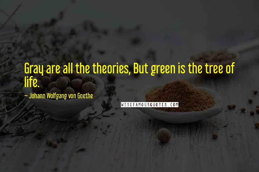 Johann Wolfgang Von Goethe Quotes: Gray are all the theories, But green is the tree of life.