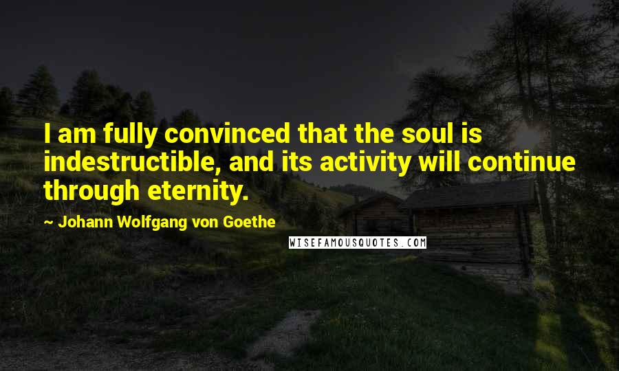 Johann Wolfgang Von Goethe Quotes: I am fully convinced that the soul is indestructible, and its activity will continue through eternity.