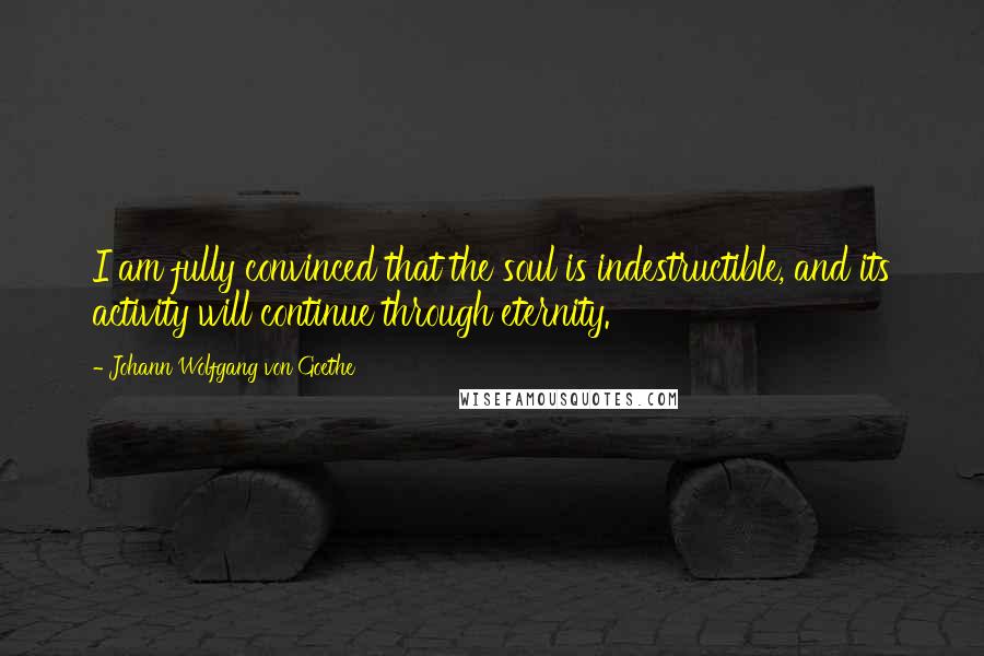 Johann Wolfgang Von Goethe Quotes: I am fully convinced that the soul is indestructible, and its activity will continue through eternity.
