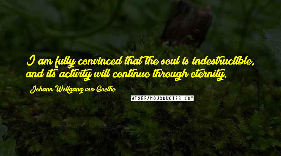 Johann Wolfgang Von Goethe Quotes: I am fully convinced that the soul is indestructible, and its activity will continue through eternity.