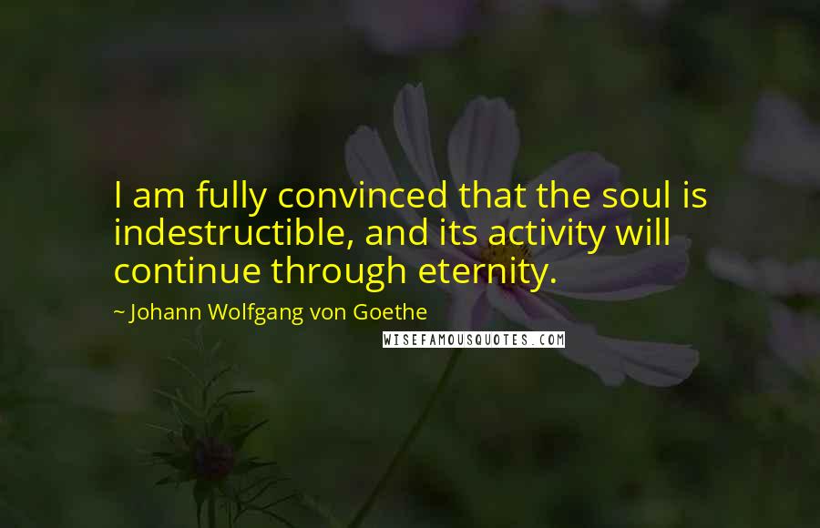 Johann Wolfgang Von Goethe Quotes: I am fully convinced that the soul is indestructible, and its activity will continue through eternity.