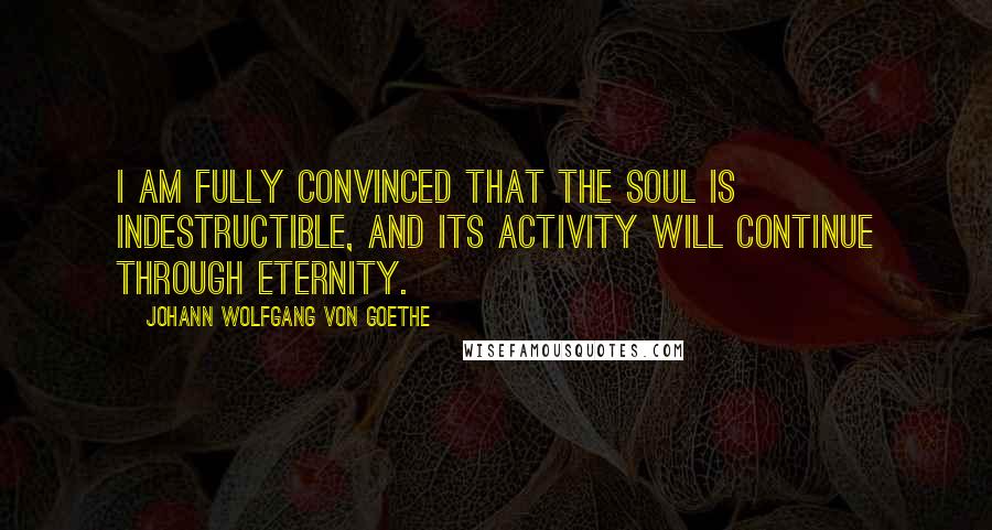 Johann Wolfgang Von Goethe Quotes: I am fully convinced that the soul is indestructible, and its activity will continue through eternity.