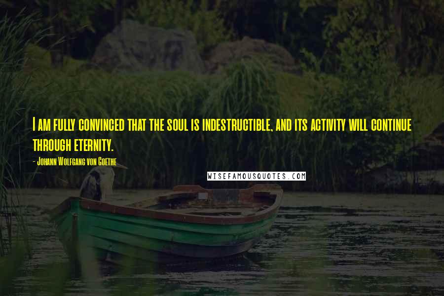 Johann Wolfgang Von Goethe Quotes: I am fully convinced that the soul is indestructible, and its activity will continue through eternity.