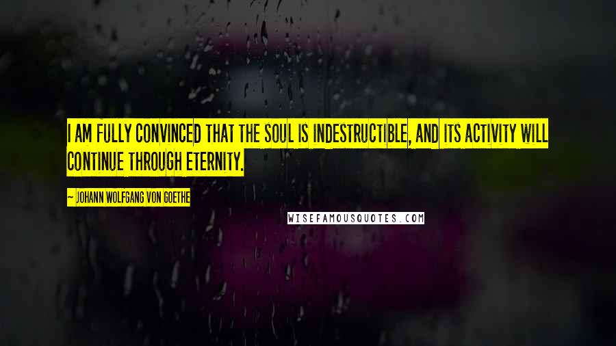 Johann Wolfgang Von Goethe Quotes: I am fully convinced that the soul is indestructible, and its activity will continue through eternity.