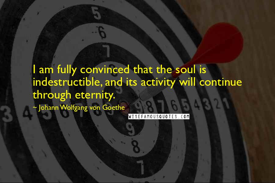 Johann Wolfgang Von Goethe Quotes: I am fully convinced that the soul is indestructible, and its activity will continue through eternity.