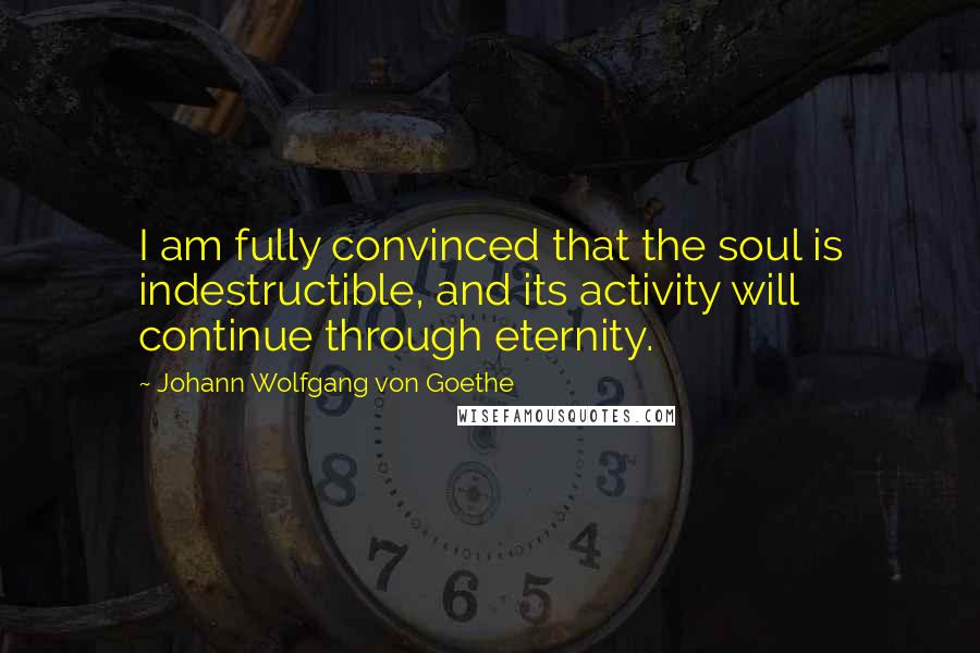 Johann Wolfgang Von Goethe Quotes: I am fully convinced that the soul is indestructible, and its activity will continue through eternity.