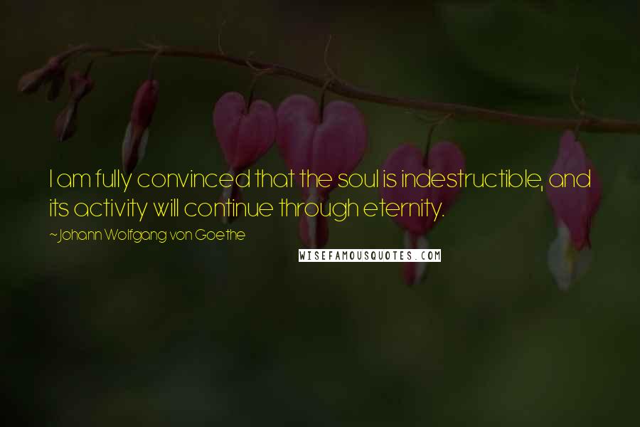 Johann Wolfgang Von Goethe Quotes: I am fully convinced that the soul is indestructible, and its activity will continue through eternity.