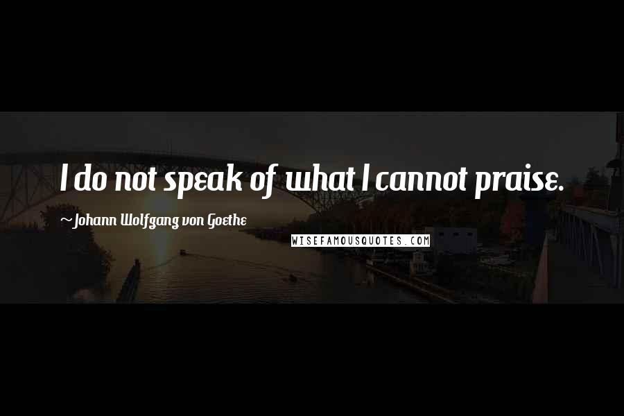 Johann Wolfgang Von Goethe Quotes: I do not speak of what I cannot praise.