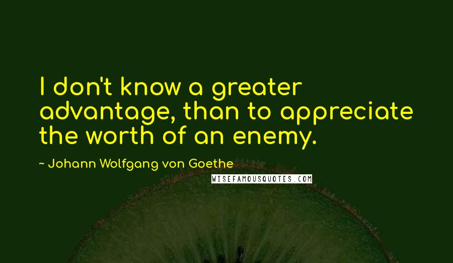 Johann Wolfgang Von Goethe Quotes: I don't know a greater advantage, than to appreciate the worth of an enemy.