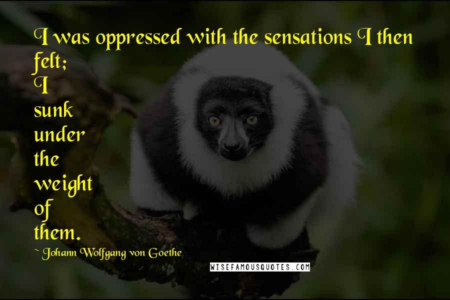 Johann Wolfgang Von Goethe Quotes: I was oppressed with the sensations I then felt; I sunk under the weight of them.